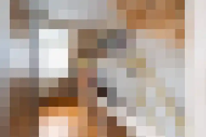 Komijn 1 Dronten thumbnail 11