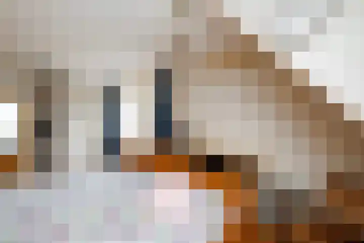 Komijn 1 Dronten thumbnail 13
