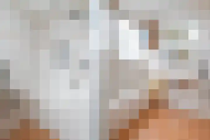 Komijn 1 Dronten thumbnail 15