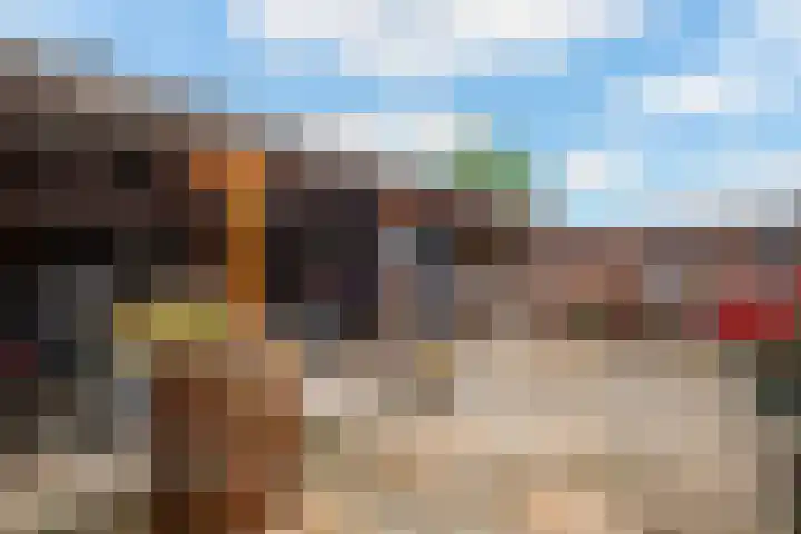 Komijn 1 Dronten thumbnail 19