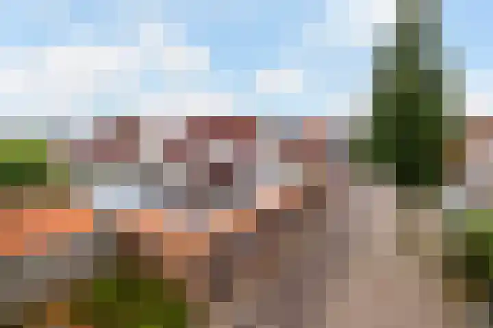 Komijn 1 Dronten foto 2