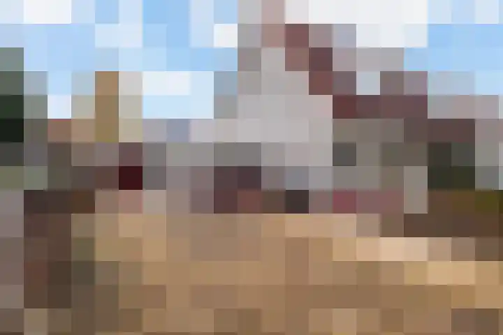 Komijn 1 Dronten thumbnail 23