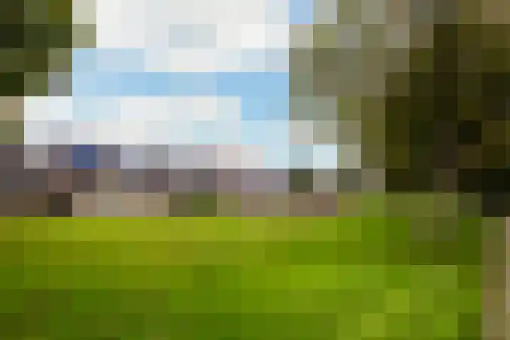 Komijn 1 Dronten thumbnail 24