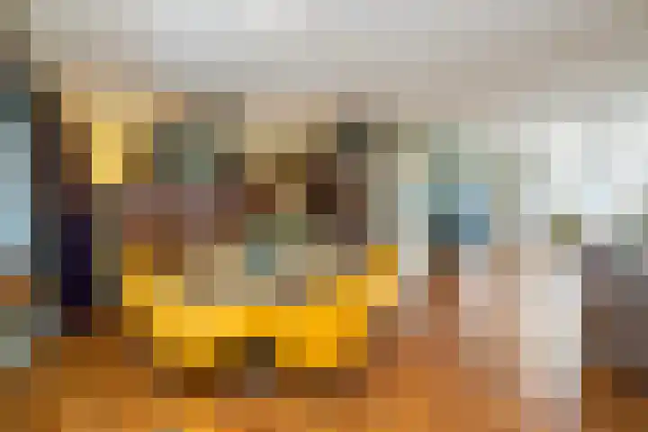 Komijn 1 Dronten thumbnail 7