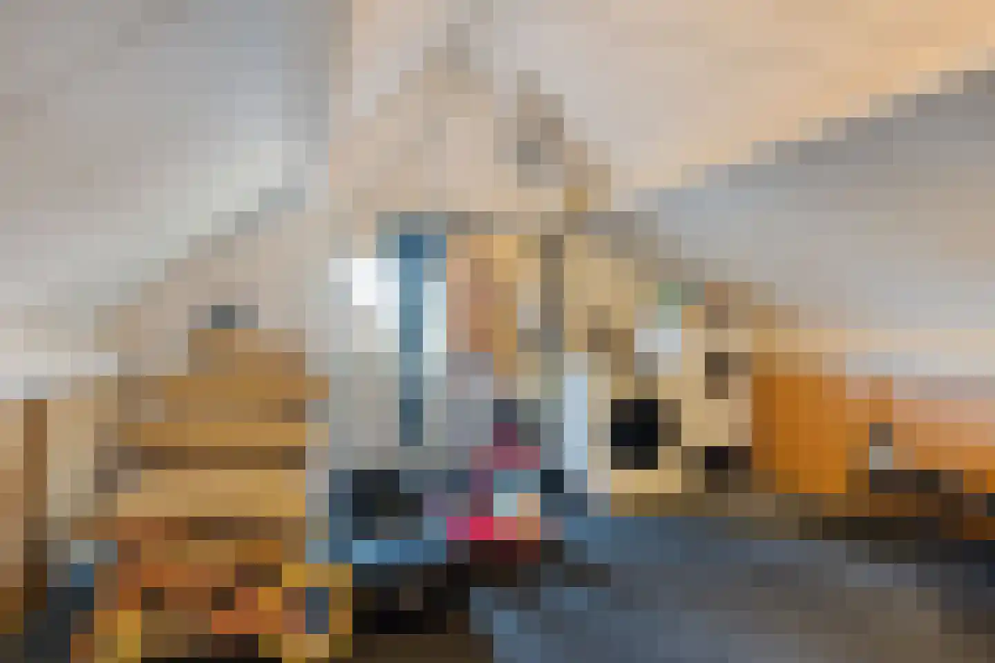 Komijn 15 Dronten thumbnail 29