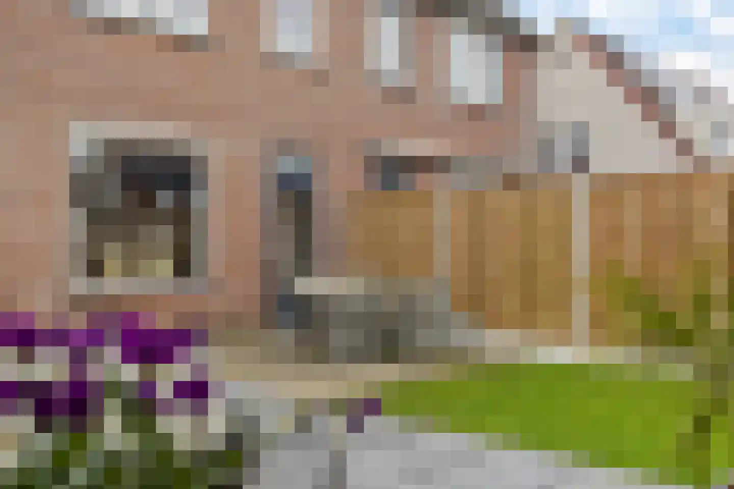 Komijn 15 Dronten thumbnail 35