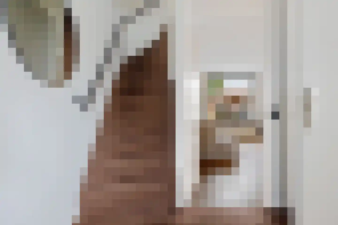 Komijn 15 Dronten thumbnail 6