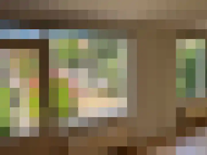 Komijn 31 Dronten thumbnail 15