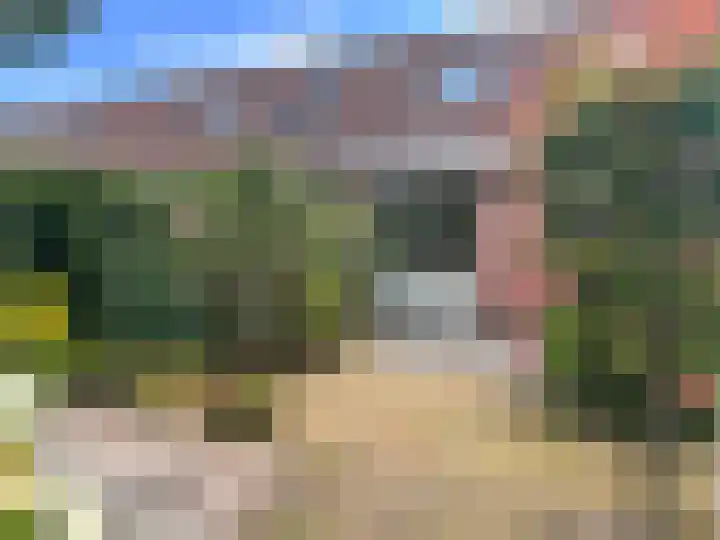 Komijn 31 Dronten thumbnail 25