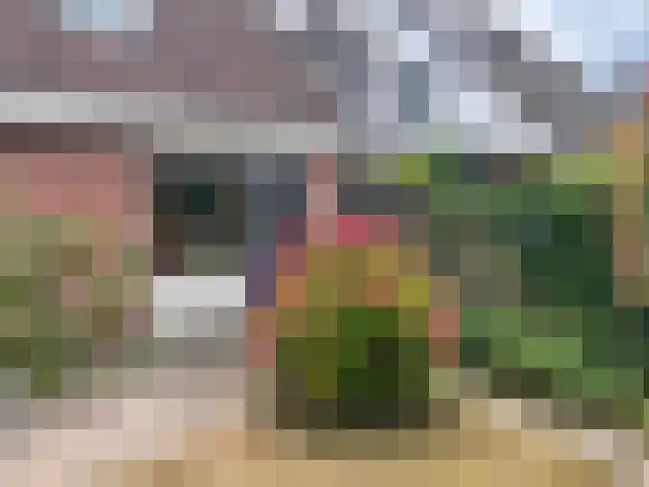 Komijn 31 Dronten thumbnail 26