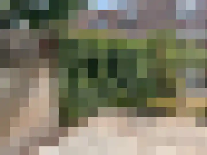 Komijn 31 Dronten thumbnail 27