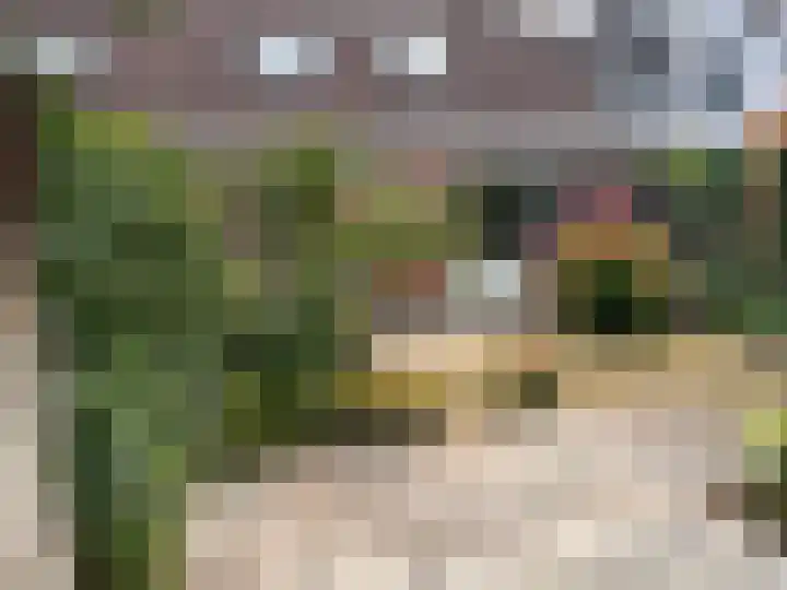 Komijn 31 Dronten thumbnail 28