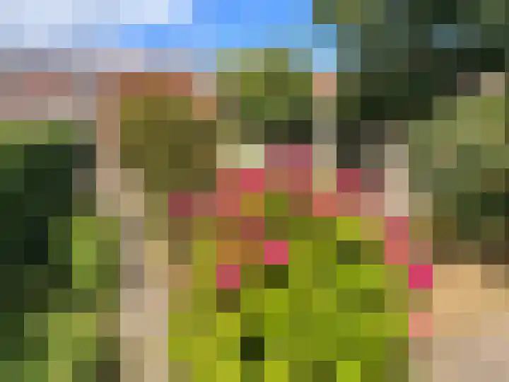 Komijn 31 Dronten thumbnail 29