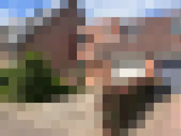 Komijn 31 Dronten foto 3