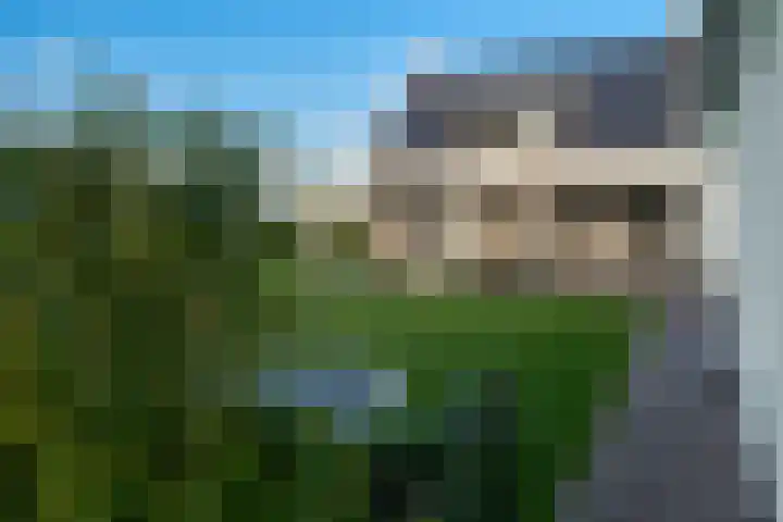 Komijn 31 Dronten thumbnail 30