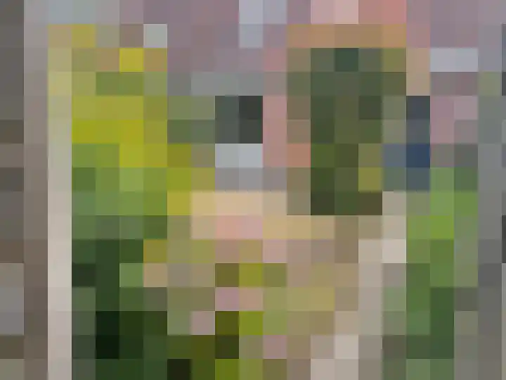 Komijn 31 Dronten thumbnail 30