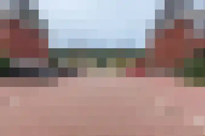 Komijn 31 Dronten thumbnail 44