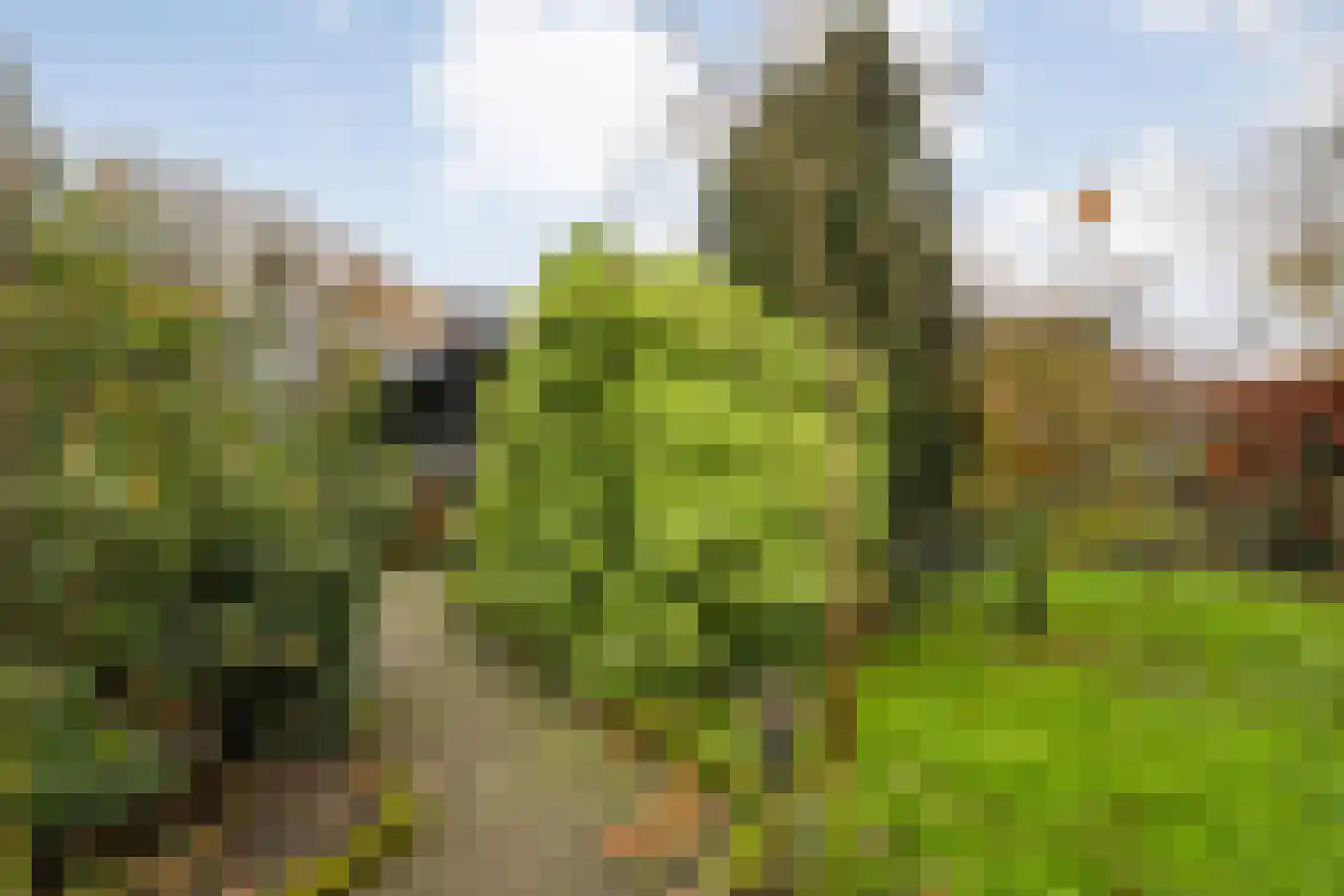 Komijn 31 Dronten thumbnail 47
