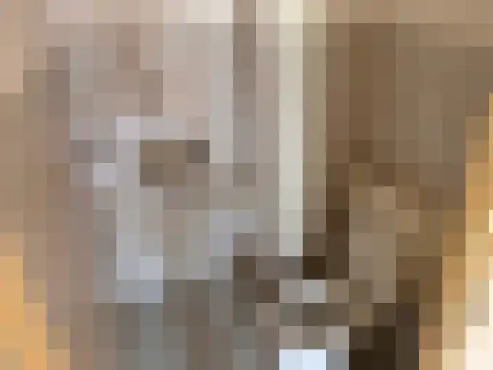 Komijn 31 Dronten thumbnail 8