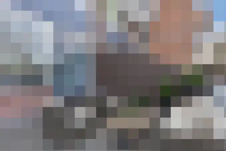 Komijnhof 17 Hoogvliet Rotterdam thumbnail 6