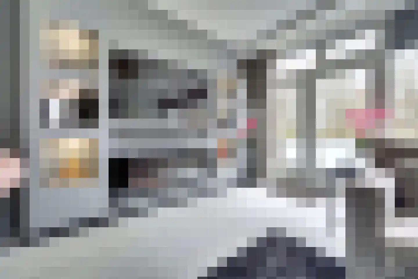 Komijnhof 49 Hoogvliet Rotterdam thumbnail 4