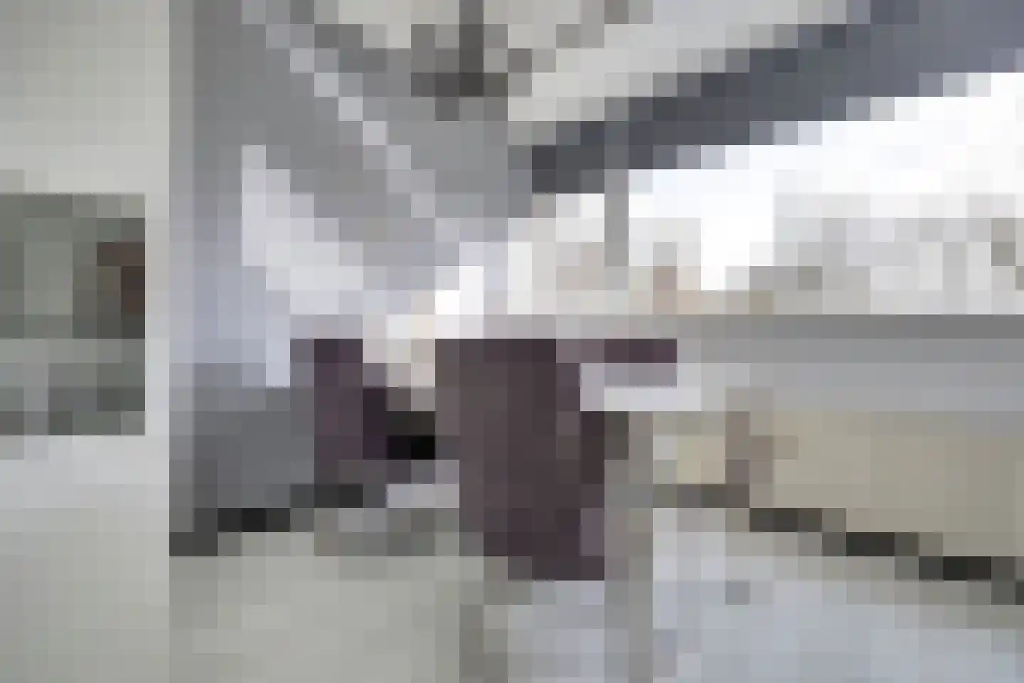 Komijnhof 49 Hoogvliet Rotterdam thumbnail 7
