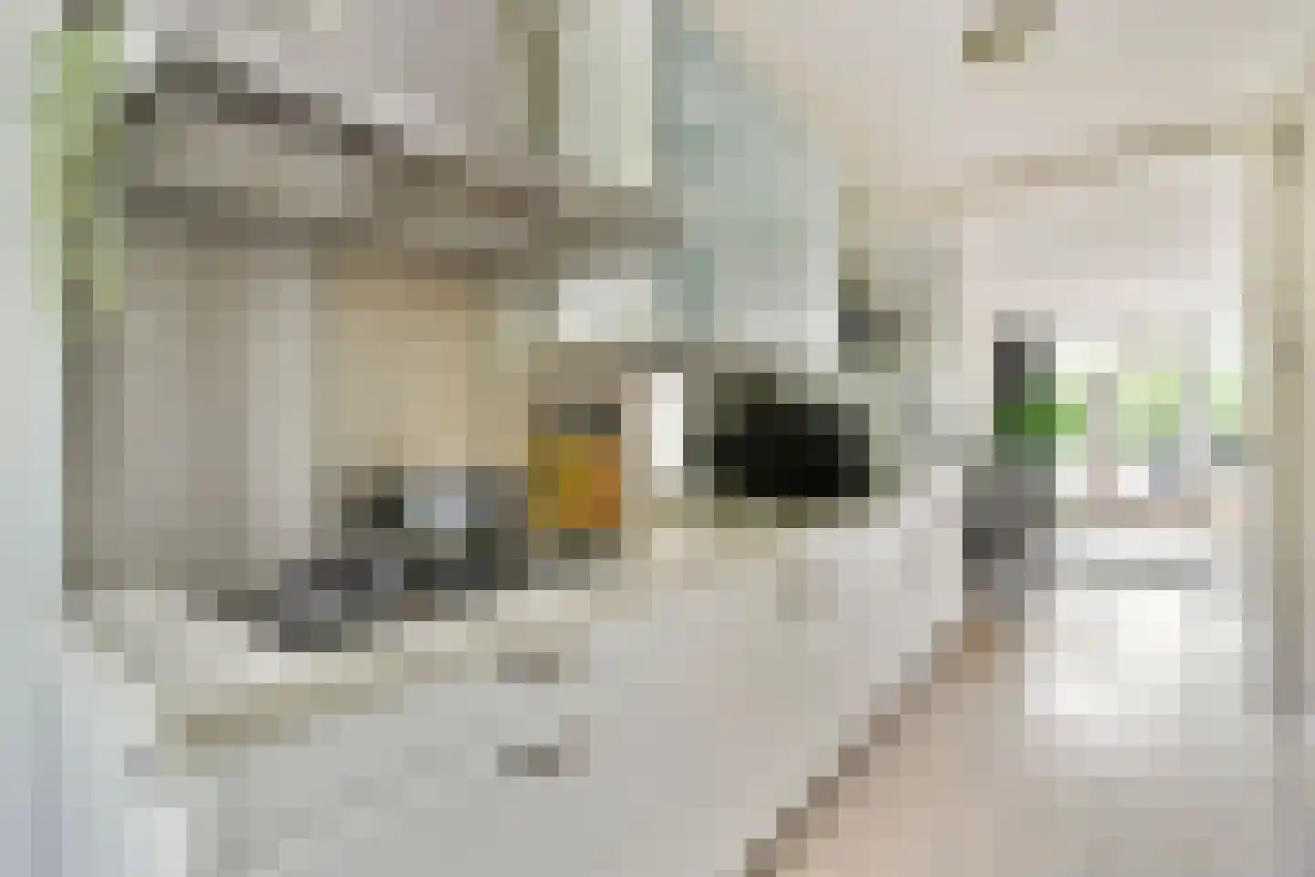 Komijnhof 7 Hoogvliet Rotterdam thumbnail 12