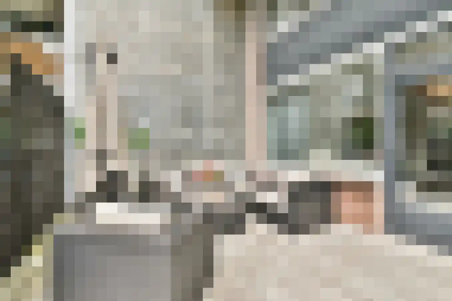 Komijnhof 7 Hoogvliet Rotterdam thumbnail 14