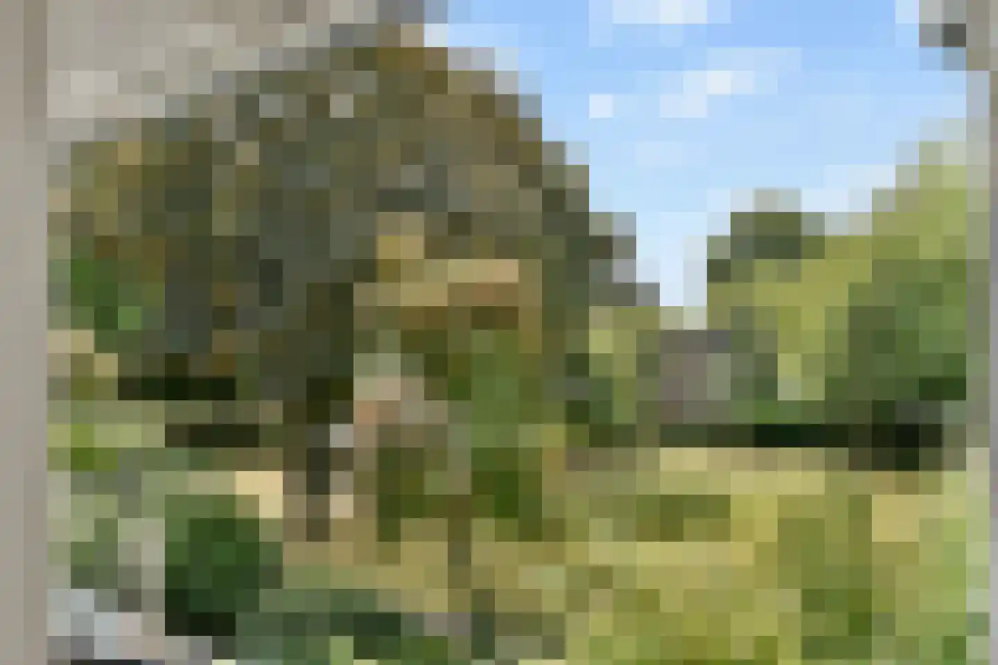 Komijnhof 7 Hoogvliet Rotterdam thumbnail 18