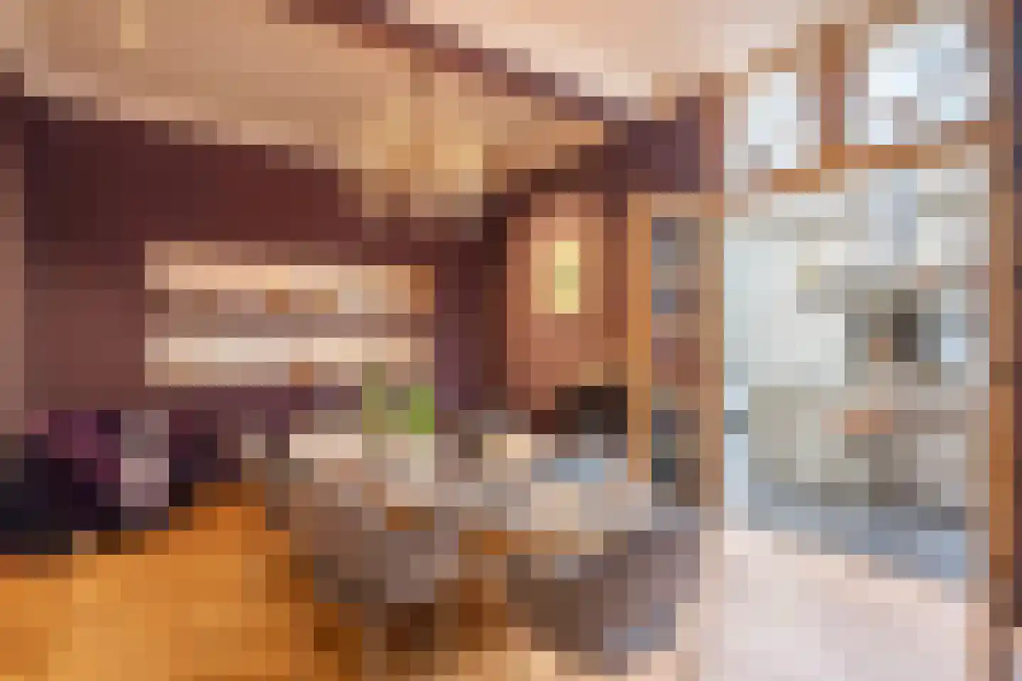 Komijnsteeg 5 a Gouda thumbnail 14