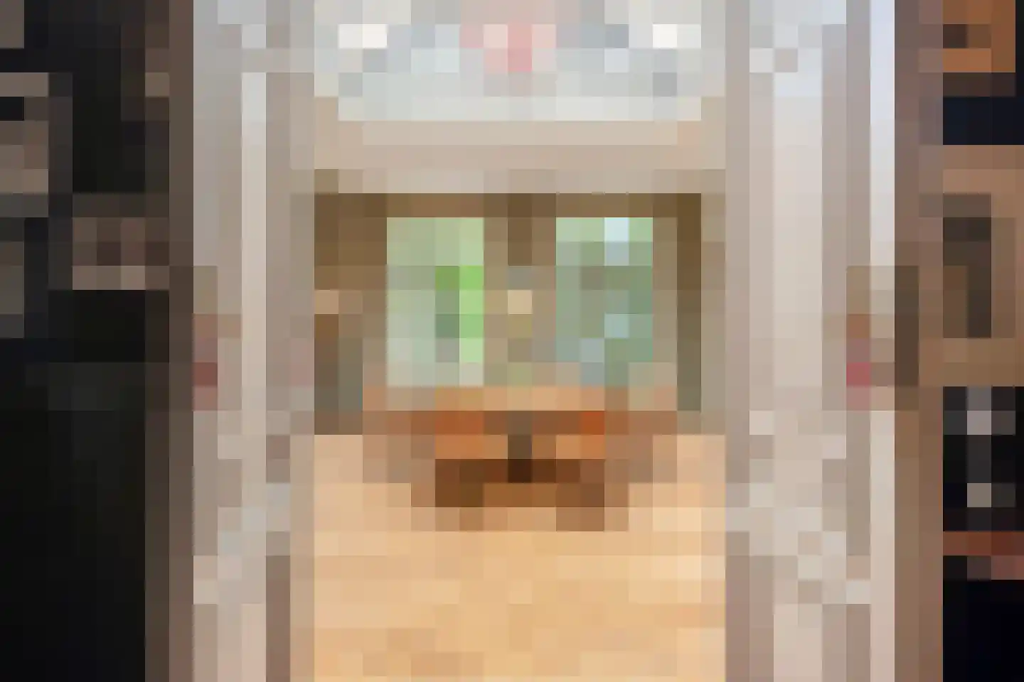 Komijnsteeg 5 a Gouda thumbnail 22