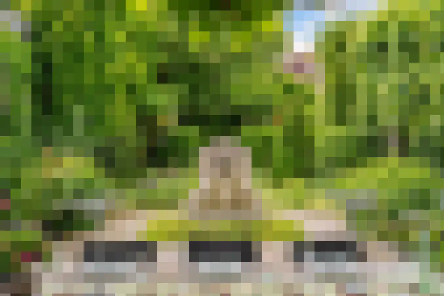 Komijnsteeg 5 a Gouda thumbnail 23