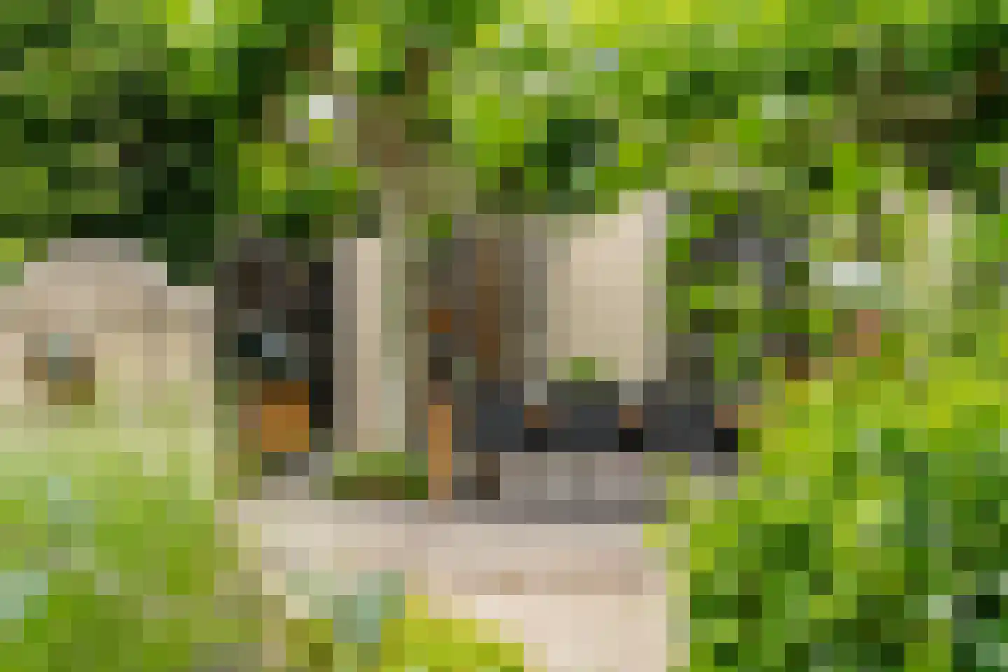 Komijnsteeg 5 a Gouda thumbnail 24