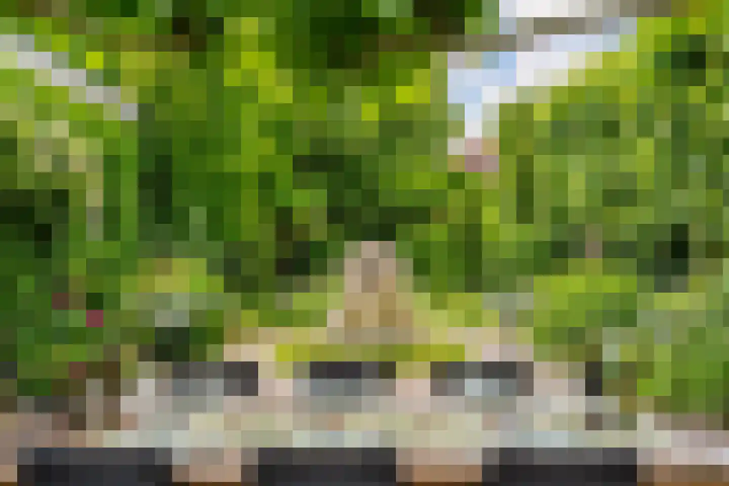Komijnsteeg 5 a Gouda thumbnail 27