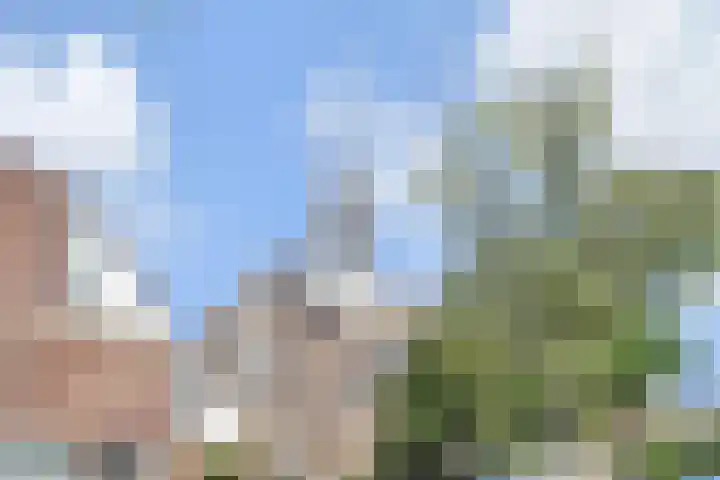 Komijnsteeg 55 Gouda thumbnail 34