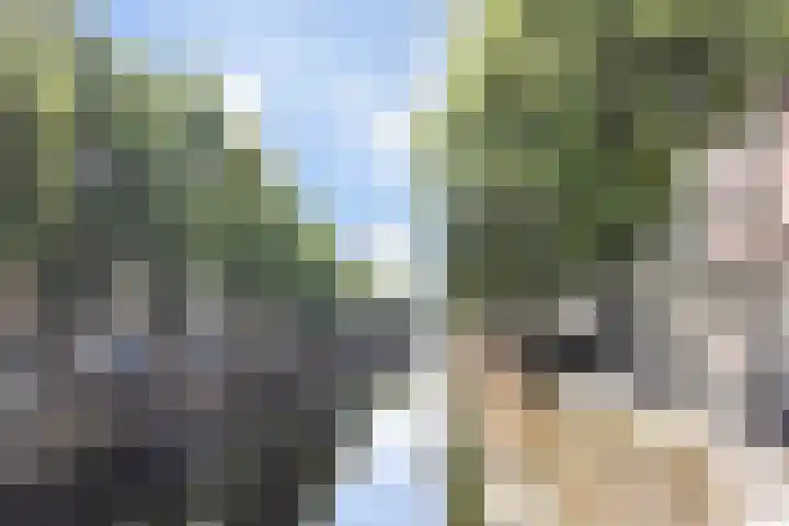 Komijnsteeg 55 Gouda thumbnail 35