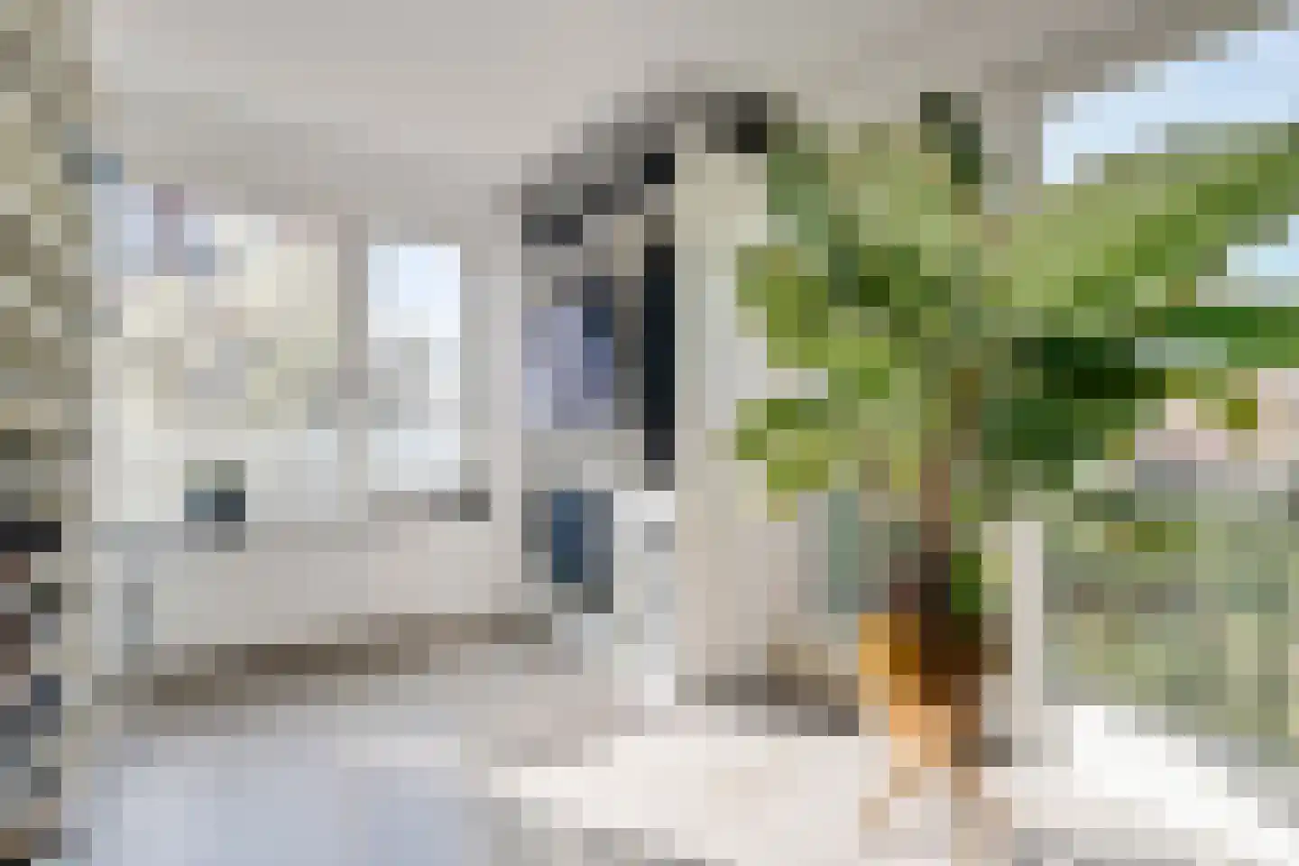Komijnstraat 55 Amsterdam thumbnail 23