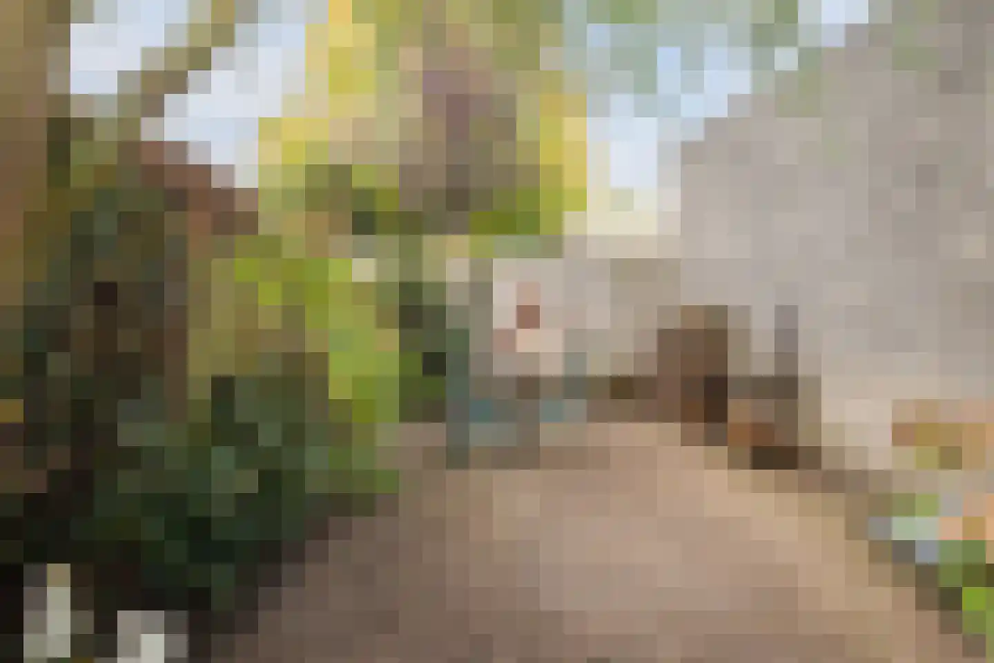 Komijnveld 2 Veghel thumbnail 39