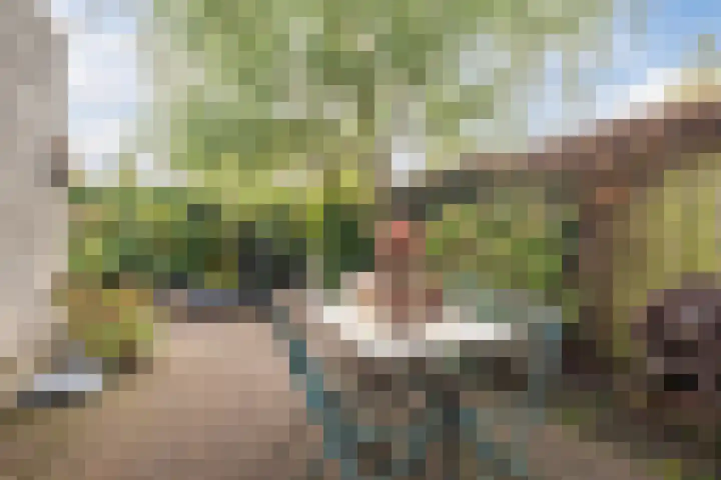 Komijnveld 2 Veghel thumbnail 40