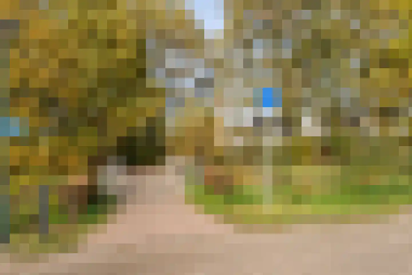 Komijnveld 2 Veghel thumbnail 45