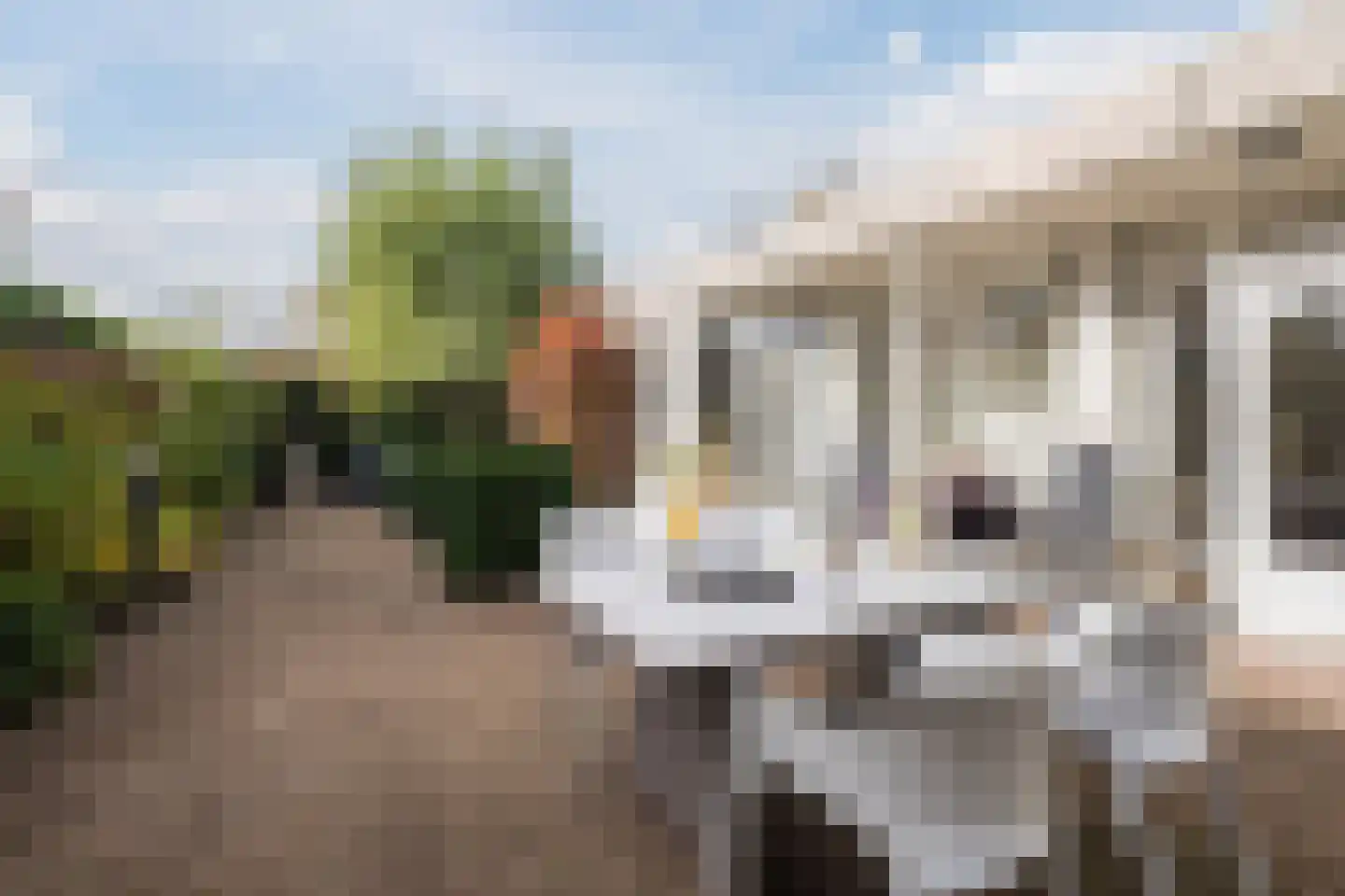 Komijnveld 2 Veghel thumbnail 6