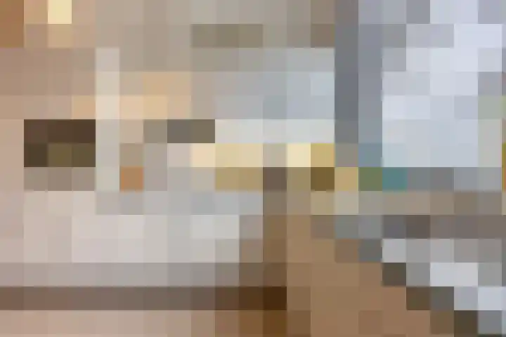Komkommerstraat 1 A Wateringen thumbnail 11
