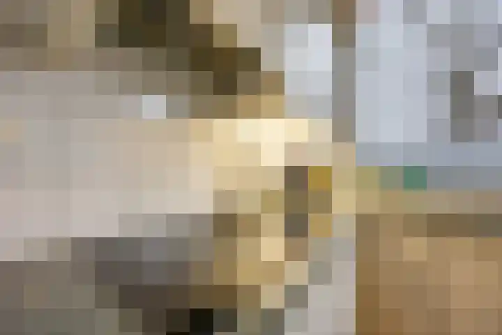 Komkommerstraat 1 A Wateringen thumbnail 13