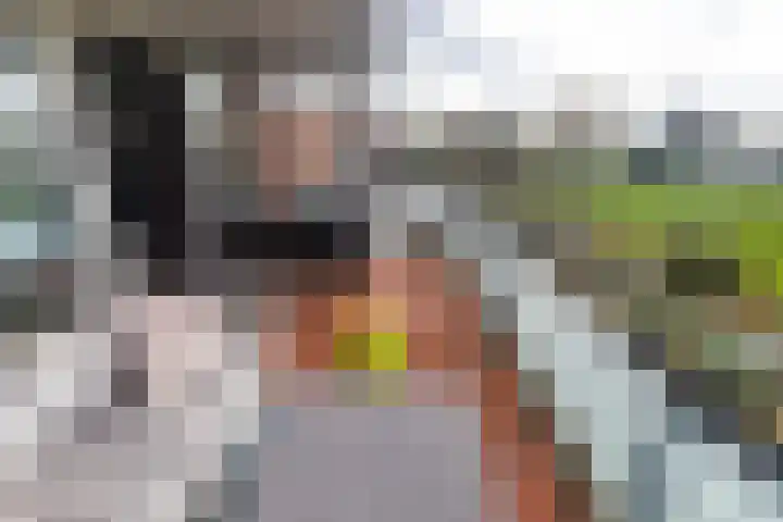 Komkommerstraat 15 Wateringen thumbnail 13