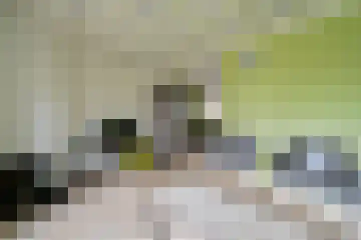 Komkommerstraat 15 Wateringen thumbnail 17