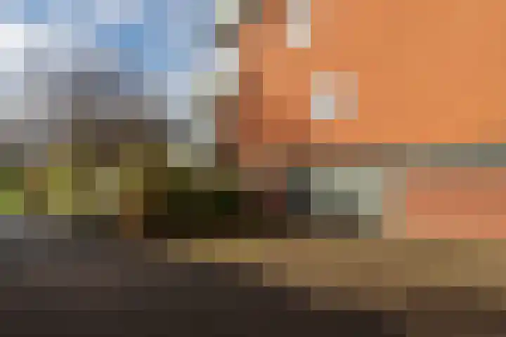Komkommerstraat 15 Wateringen thumbnail 30