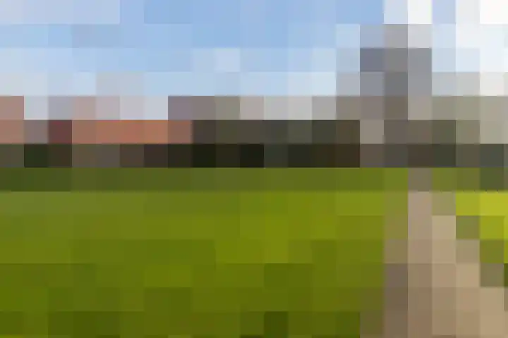 Komkommerstraat 15 Wateringen thumbnail 33