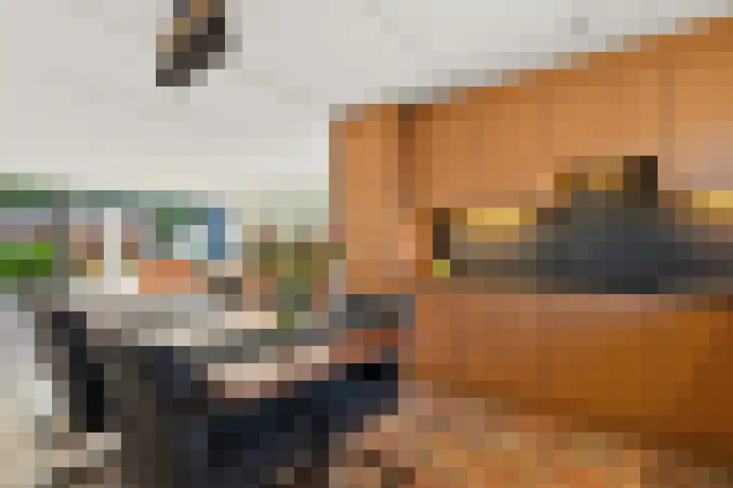 Komkommerstraat 32 Wateringen thumbnail 13