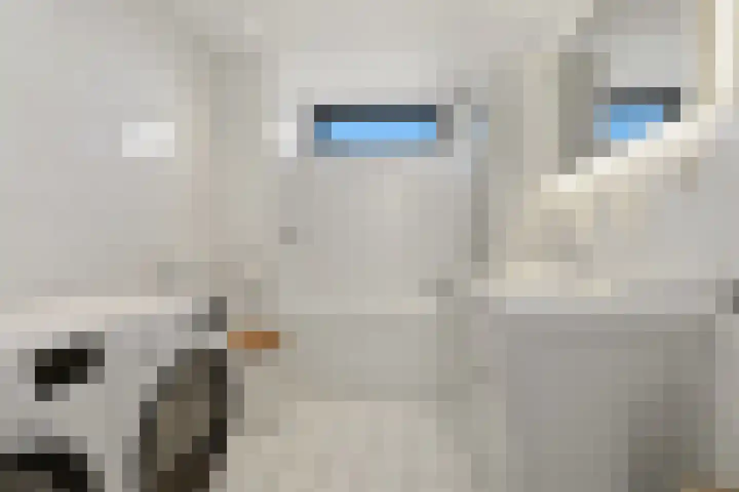 Komkommerstraat 32 Wateringen thumbnail 21
