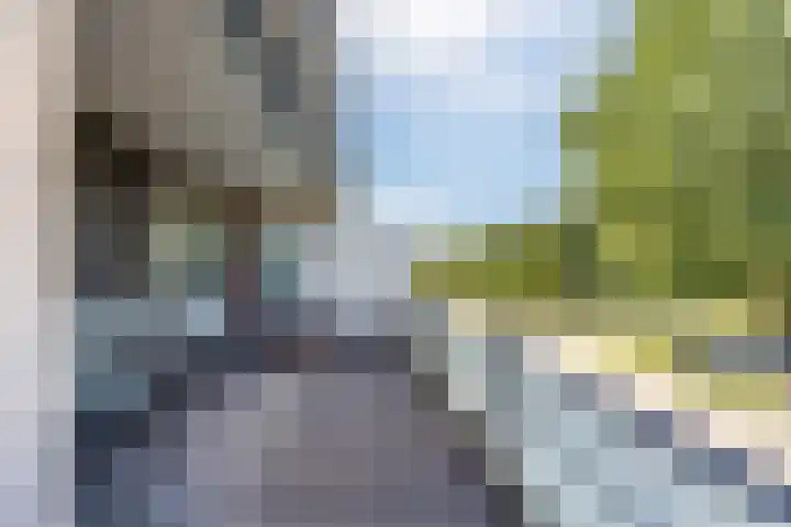 Komkommerstraat 42 Wateringen thumbnail 32